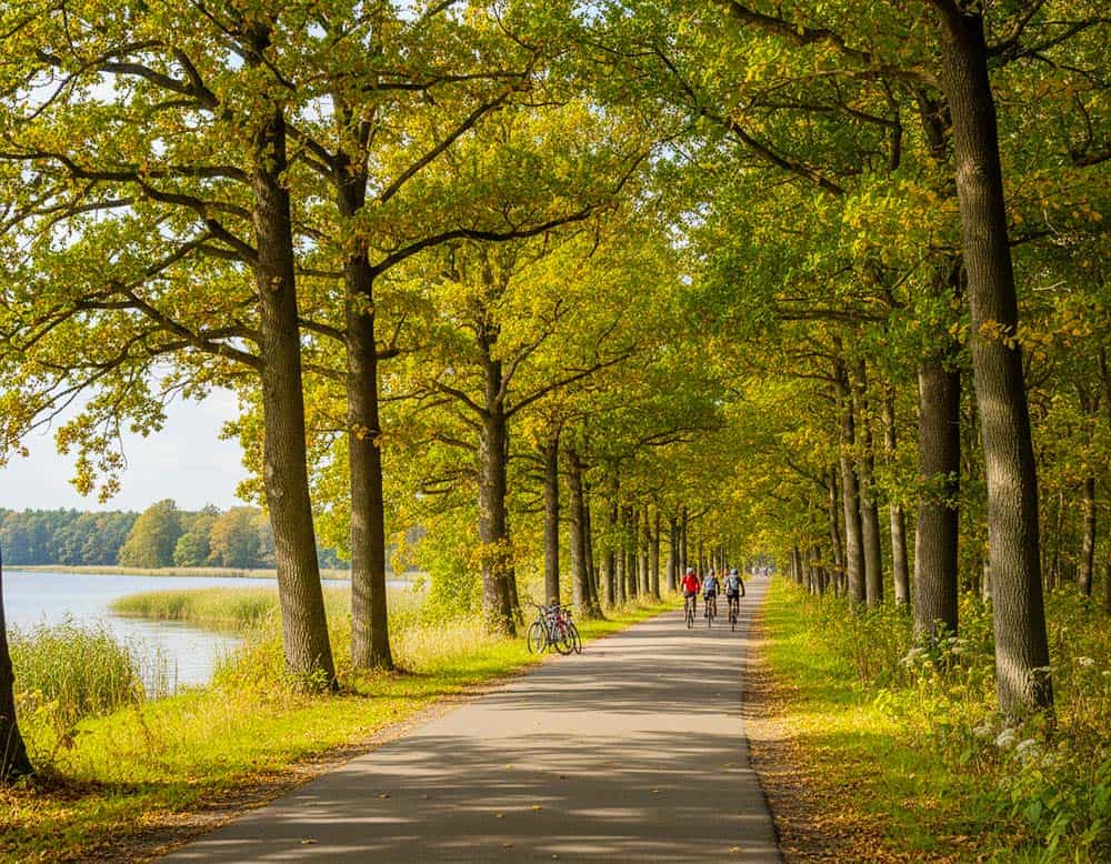 Fahrradwege durch Wälder und Seen in Polen