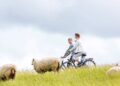 Nordseeküste Radweg (depositphotos.com)