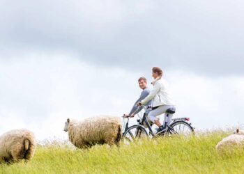Nordseeküste Radweg (depositphotos.com)