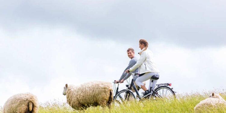 Nordseeküste Radweg (depositphotos.com)
